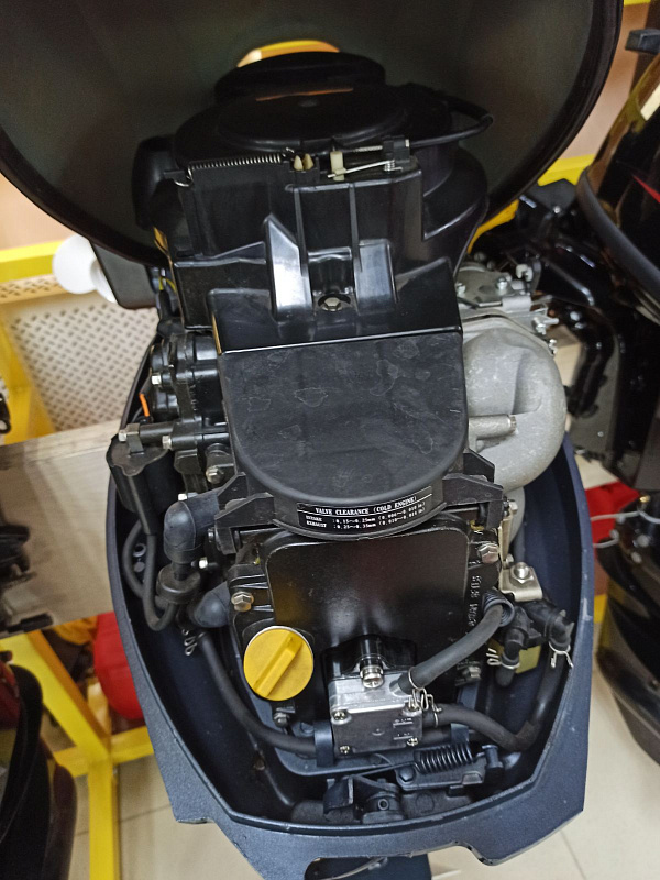 Лодочный мотор BREEZE F9,9S (4х тактный) в Ставрополе