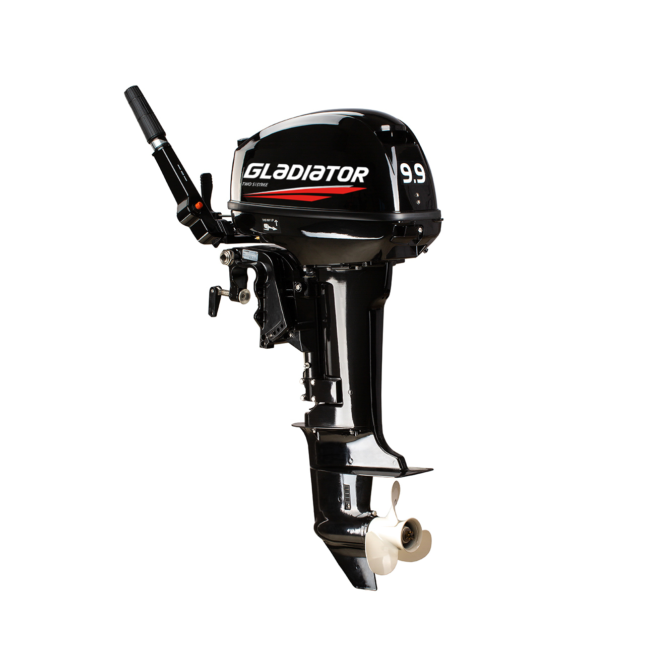 ЛОДОЧНЫЙ МОТОР GLADIATOR G9.9FHS в Ставрополе