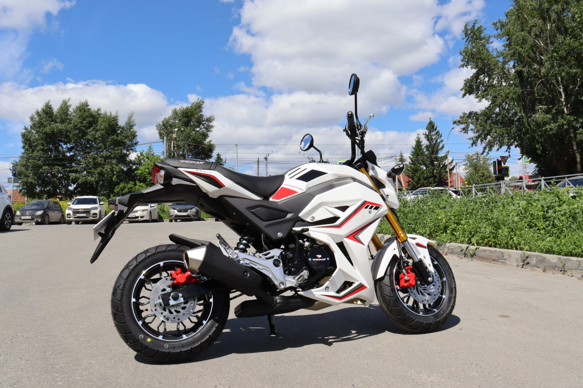 Мотоцикл PROMAX STRYKER 200(49) 2.0 в Ставрополе
