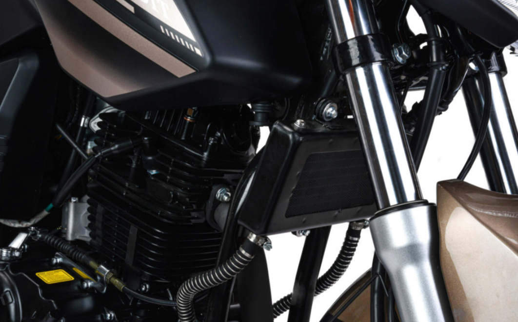 Мотоцикл MOTOLAND (МОТОЛЕНД) 300 BANDIT в Ставрополе