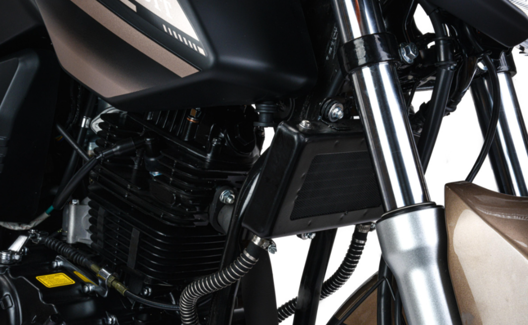 Мотоцикл MOTOLAND (МОТОЛЕНД) 300 BANDIT в Ставрополе