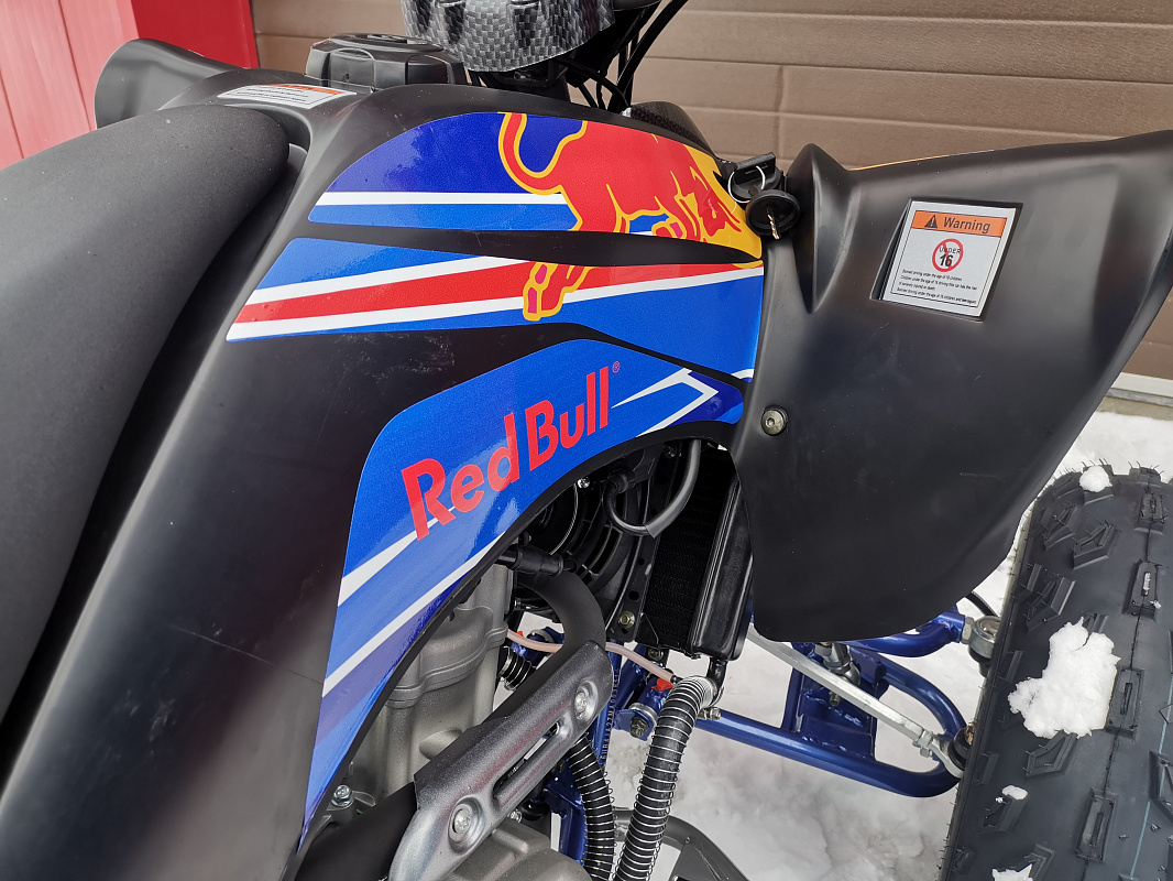 Квадроцикл PROMAX RAPTOR 300 NEW RedBull в Ставрополе