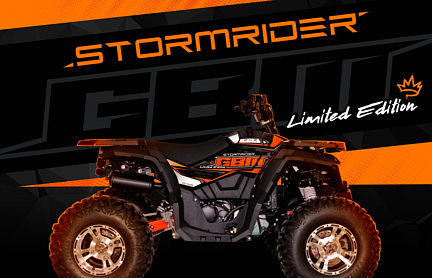 Квадроцикл GBM STORMRIDER 320 NEW LUX в Ставрополе