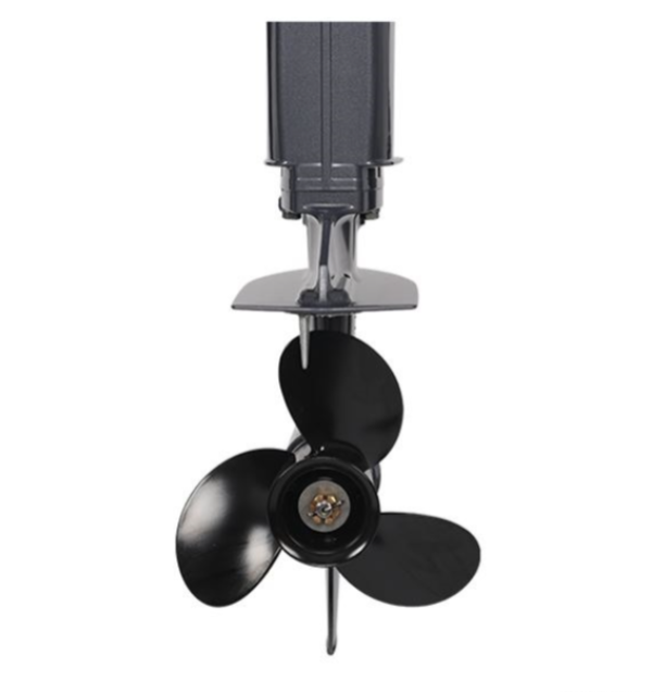 Лодочный мотор ALLFA CG Т40FW S в Ставрополе