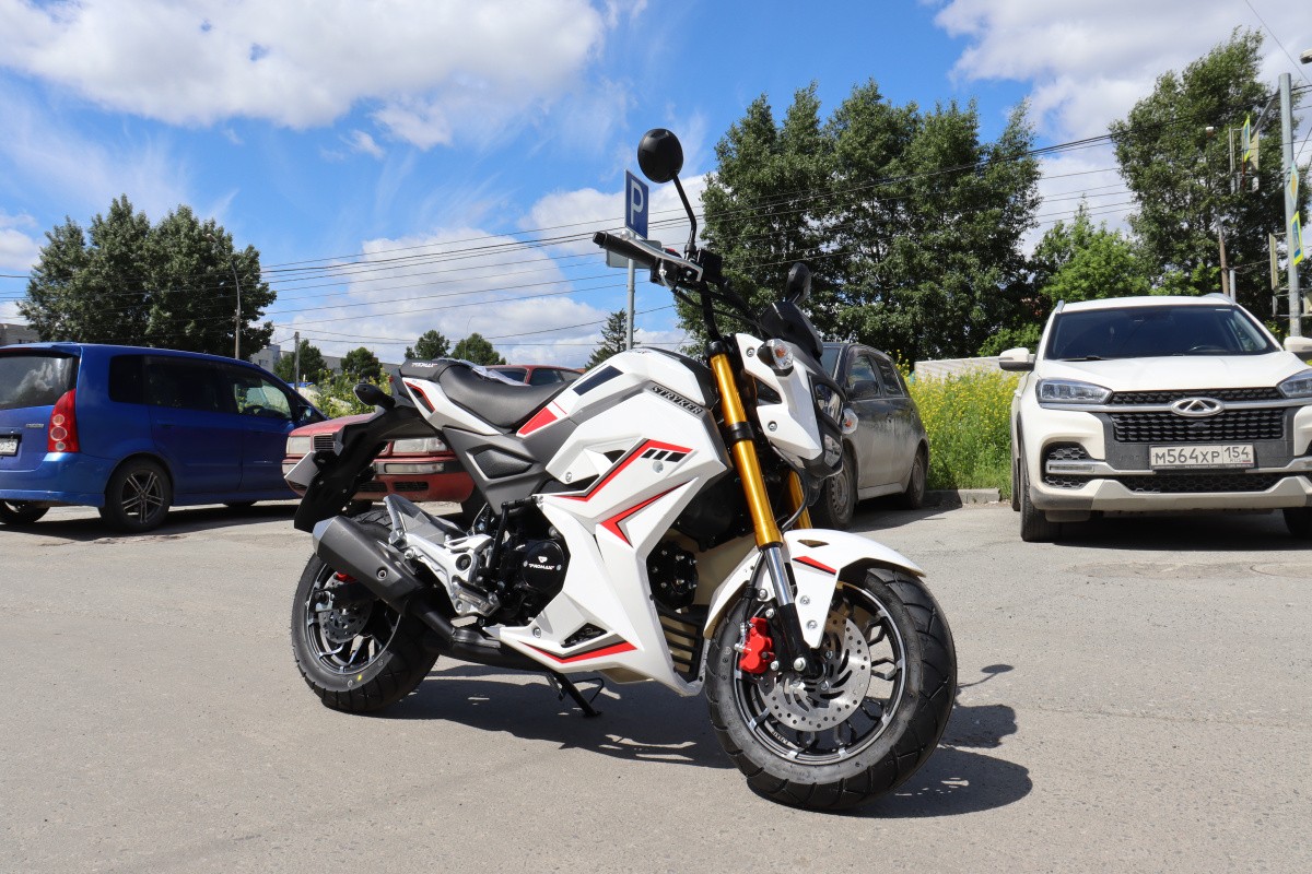 Мотоцикл PROMAX STRYKER 200(49) 2.0 в Ставрополе