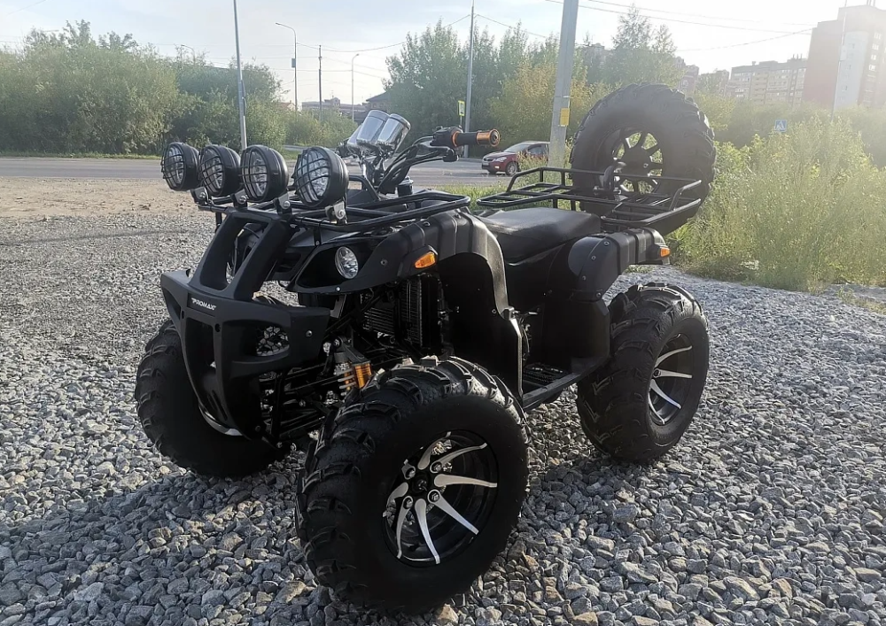 Квадроцикл PROMAX LEO 300 Max (кардан) в Ставрополе