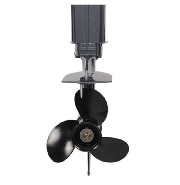 Лодочный мотор ALLFA CG Т40FWT S в Ставрополе