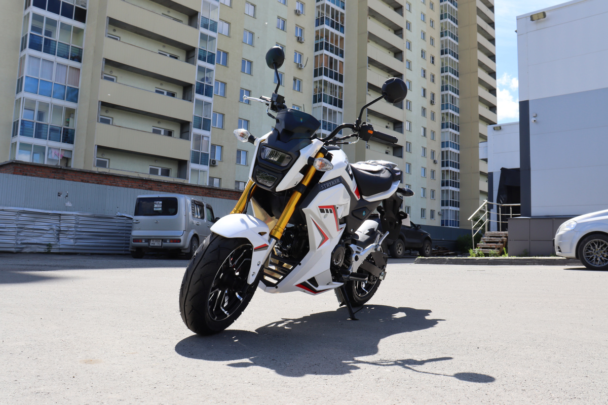 Мотоцикл PROMAX STRYKER 200(49) 2.0 в Ставрополе