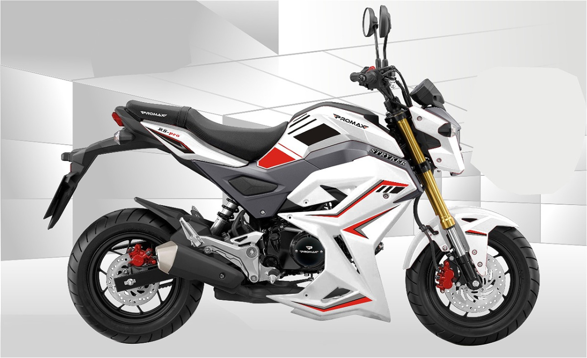 Мотоцикл PROMAX STRYKER 200(49) 2.0 в Ставрополе