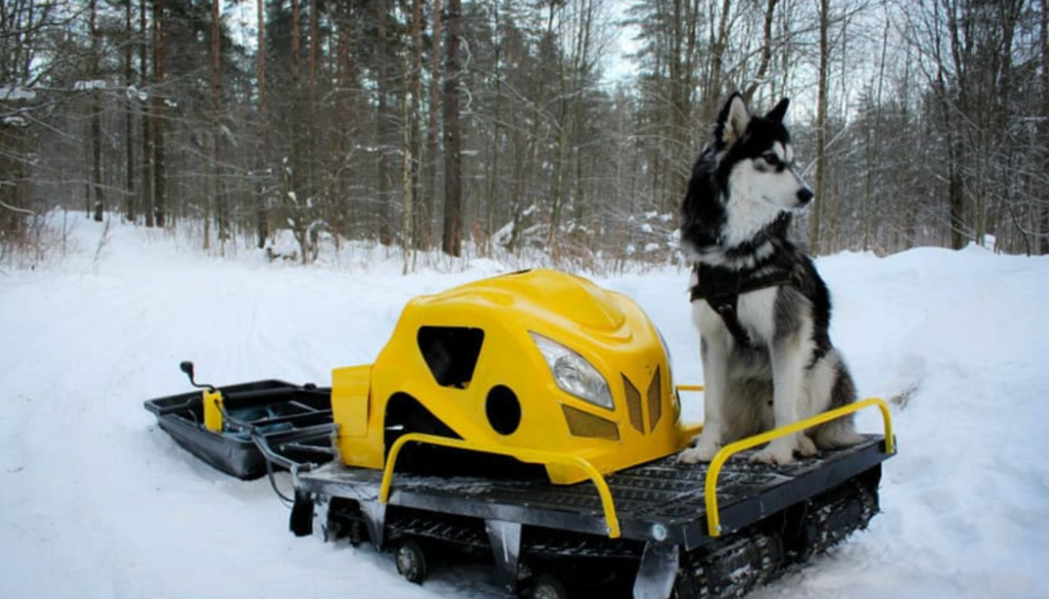 Мотобуксировщик LEBEDEV MOTORS ВОЛКОДАВ POWER V13 в Ставрополе
