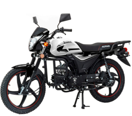 Мопед MOTOLAND (МОТОЛЕНД) Альфа RS 11 (LM48-B) в Ставрополе
