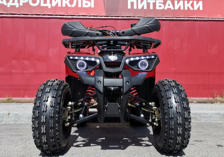 Квадроцикл PROMAX WILD 175 BASIC в Ставрополе