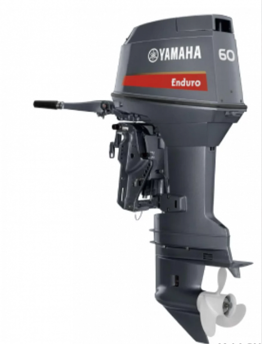 Лодочный мотор YAMAHA E60HMHDL в Ставрополе