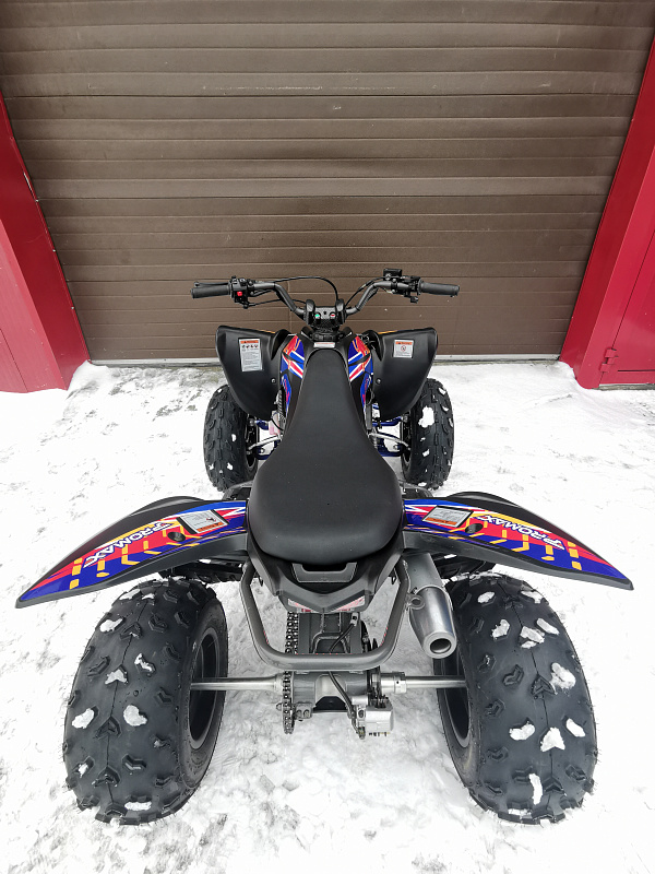 Квадроцикл PROMAX RAPTOR 300 NEW RedBull в Ставрополе