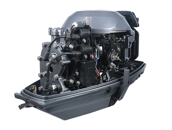 ЛОДОЧНЫЙ МОТОР ALLFA CG T30 FW S в Ставрополе