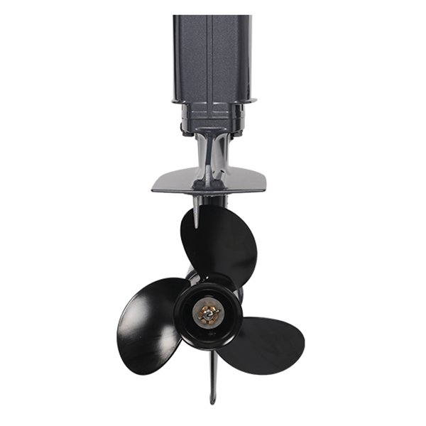 ЛОДОЧНЫЙ МОТОР ALLFA CG T30 FW S в Ставрополе