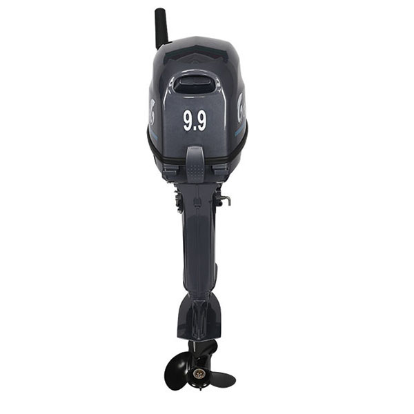 Лодочный мотор ALLFA CG Т9.9(20)MAX в Ставрополе