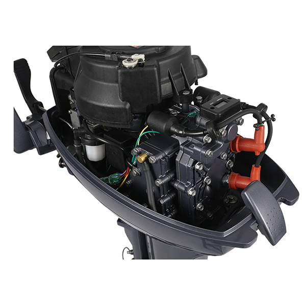 ЛОДОЧНЫЙ МОТОР ALLFA CG Т9,9 в Ставрополе