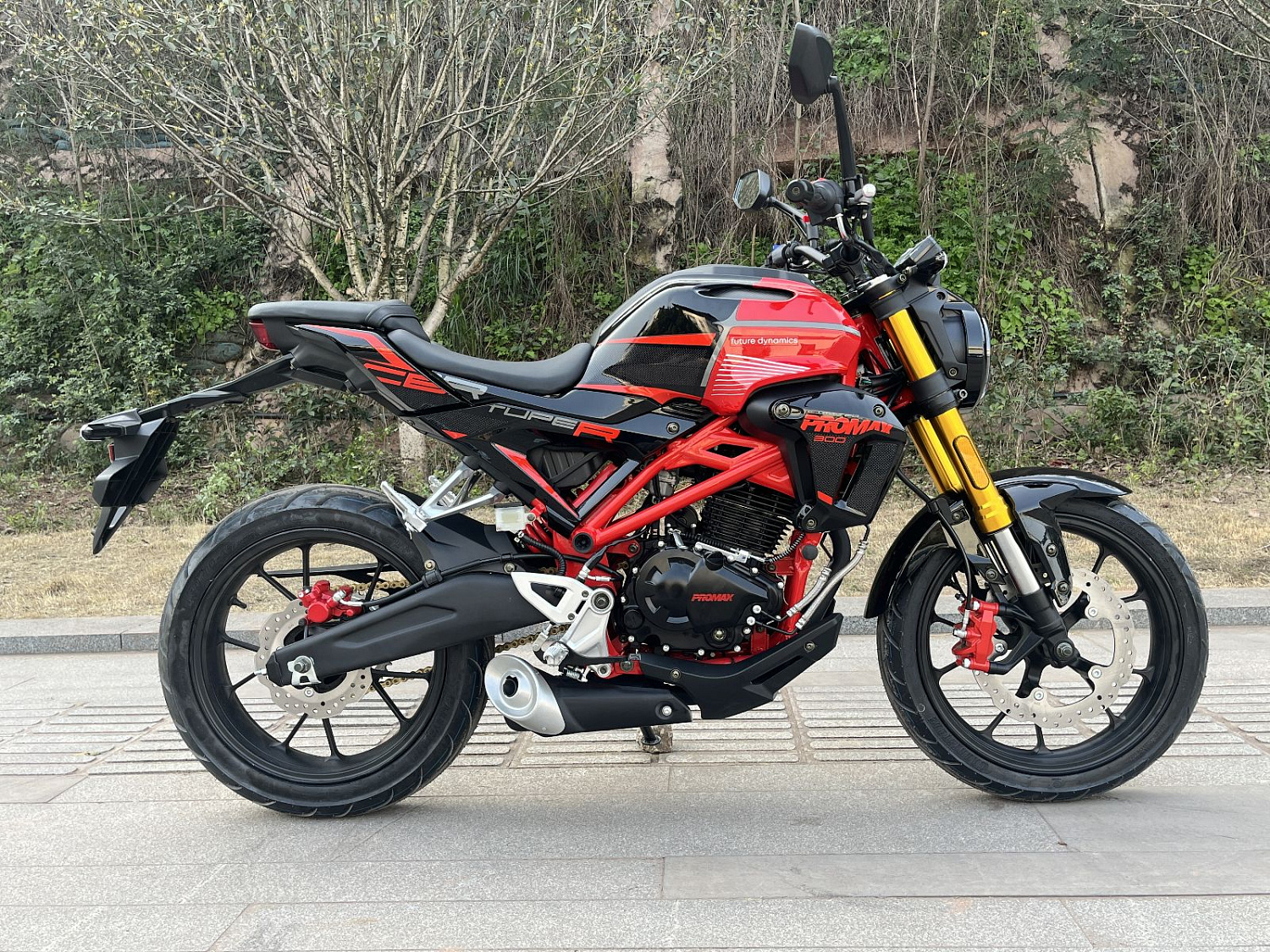 Мотоцикл PROMAX CB300 в Ставрополе