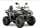 Квадроцикл YACOTA DRAGON LUX LD 150 PRO-SPORT в Ставрополе