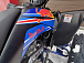 Квадроцикл PROMAX RAPTOR 300 NEW RedBull в Ставрополе