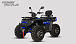 Квадроцикл PROMAX TAURUS 300 MAX-PRO LONG в Ставрополе