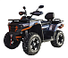 Квадроцикл MOTOLAND (МОТОЛЕНД) 300 MAX X в Ставрополе