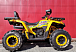 Квадроцикл PROMAX STORM 280 LUX в Ставрополе