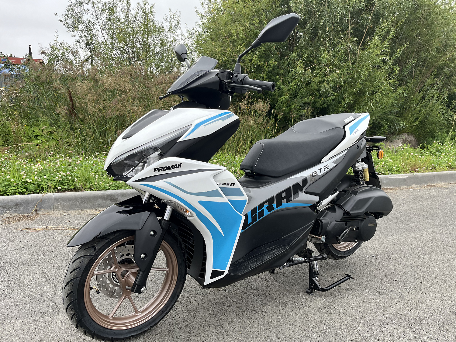 Скутер PROMAX TURAN 250 (49) в Ставрополе