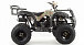 Квадроцикл MOTOLAND (МОТОЛЕНД) 200 ALL ROAD в Ставрополе
