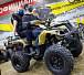 Квадроцикл PROMAX ATV 250 (2025) в Ставрополе