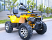 Квадроцикл MOTOLAND (МОТОЛЕНД) VOX200 WILD TRACK X PRO (баланс. вал) в Ставрополе