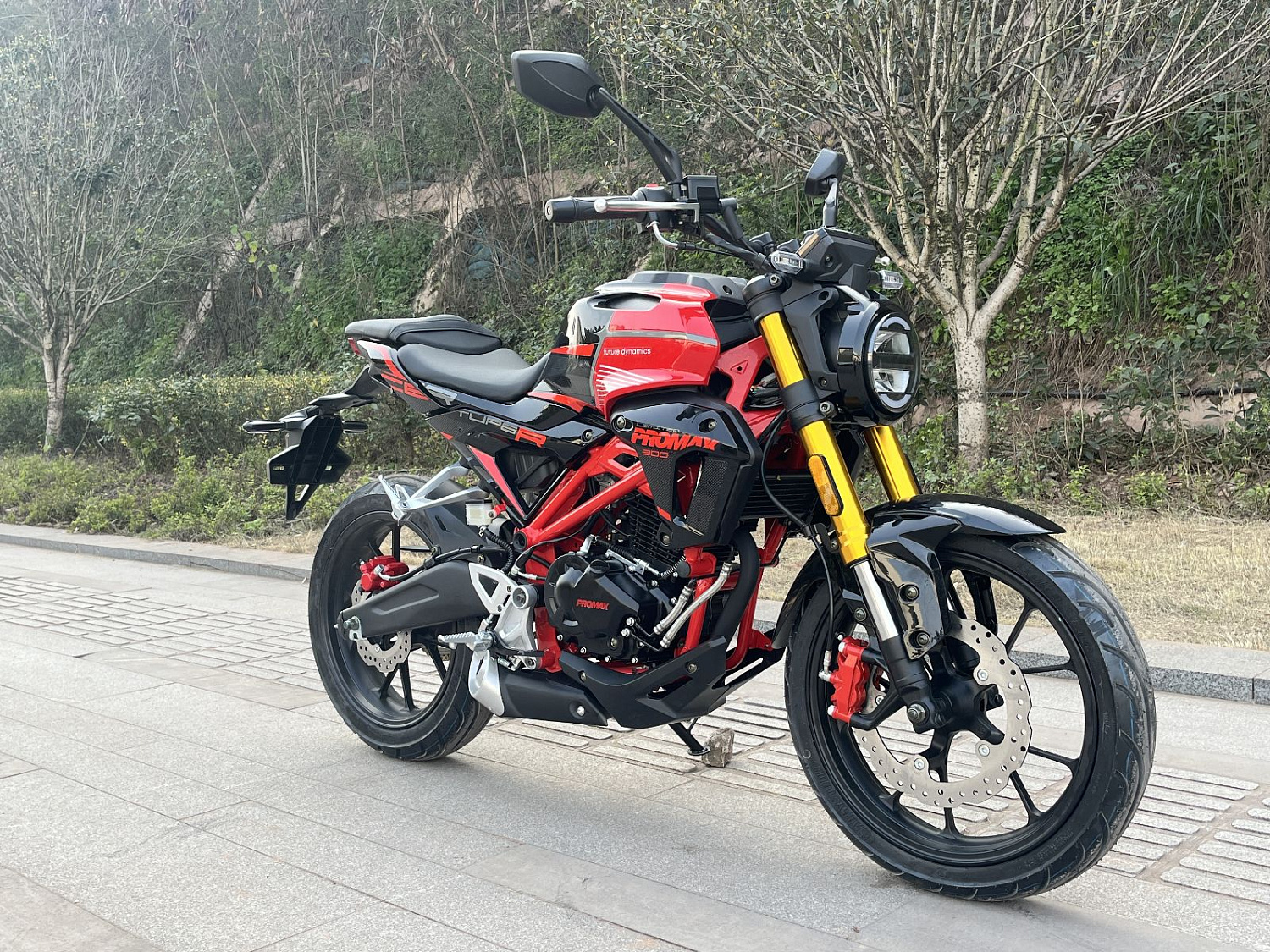 Мотоцикл PROMAX CB300 в Ставрополе