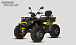 Квадроцикл PROMAX TAURUS 300 MAX-PRO LONG в Ставрополе